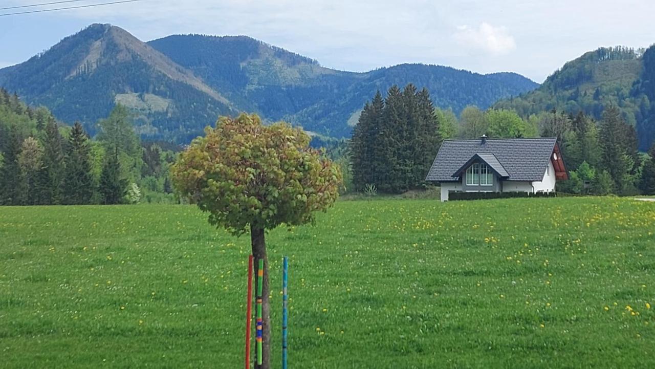 Ferienwohnung Seeberg Mit Almfeeling 芬斯特诺 外观 照片